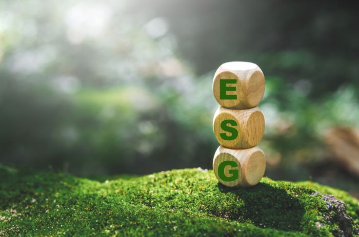 Dados com letras formando a sigla ESG (Environmental, Social, and Governance).